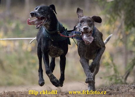 ME Esdra 2005 - 026.jpg